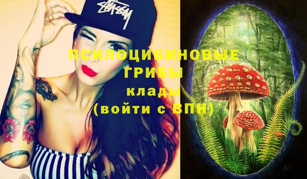 марки nbome Алзамай