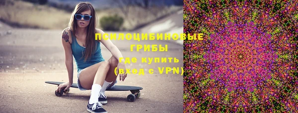 индика Алексеевка